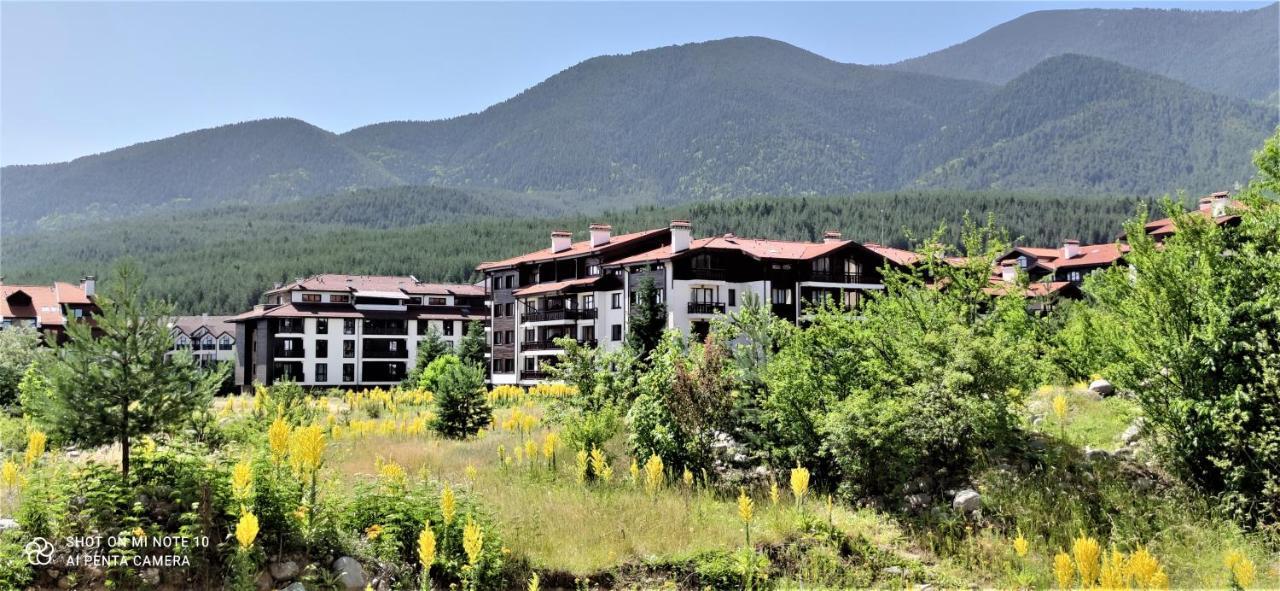 Predela 1 - Studio 10 Near Bansko Ski Lift Εξωτερικό φωτογραφία